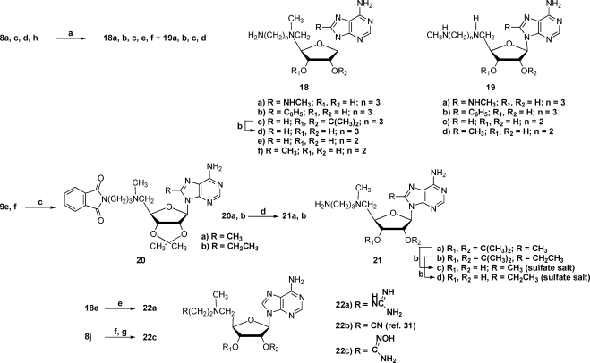 Scheme 4