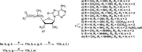 Scheme 3