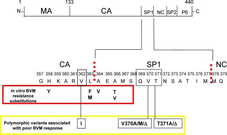 FIG 1