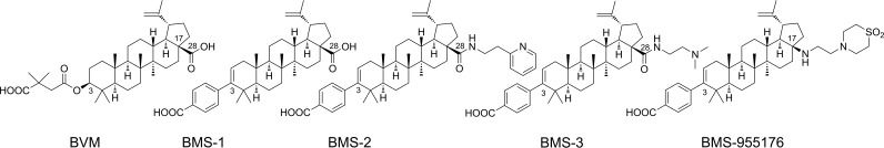 FIG 2