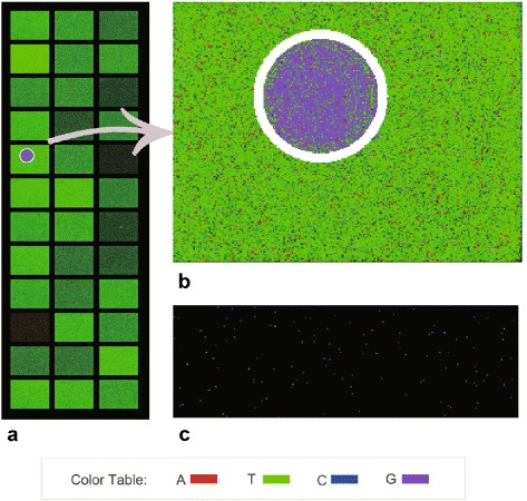 Fig. 3