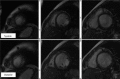 Figure 2b