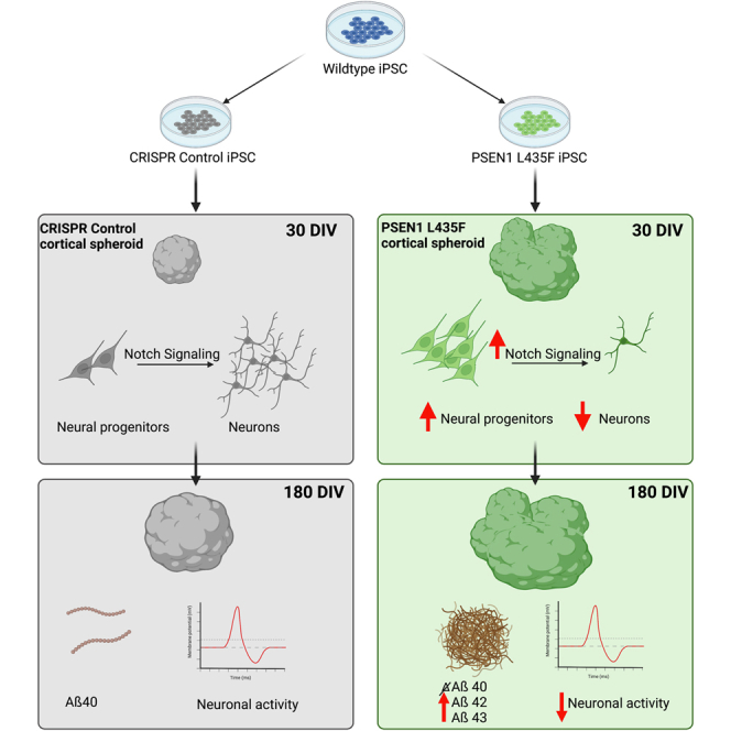 graphic file with name fx1.jpg