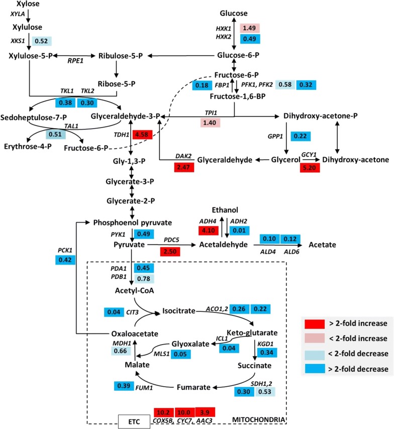 Fig. 6