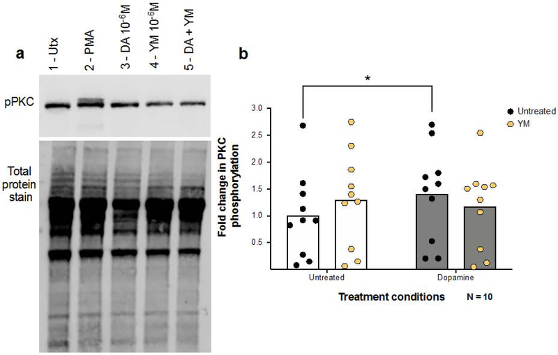 Figure 7 -