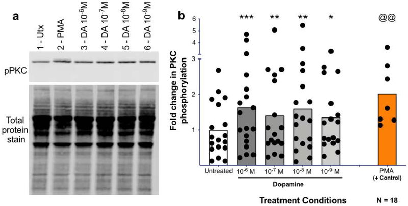 Figure 6 -