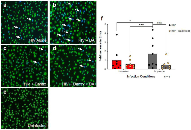 Figure 3 -