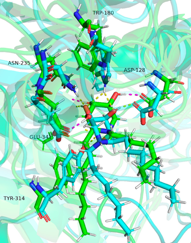 Figure 5