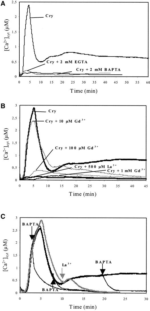 Figure 4.