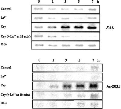 Figure 9.