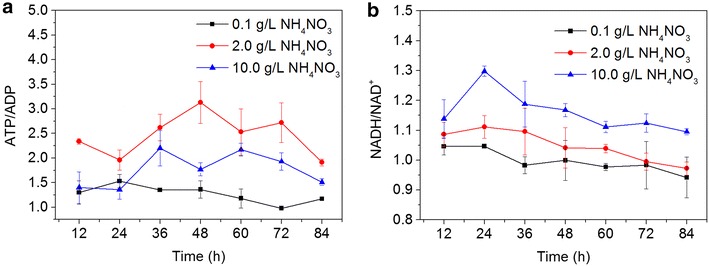 Fig. 2