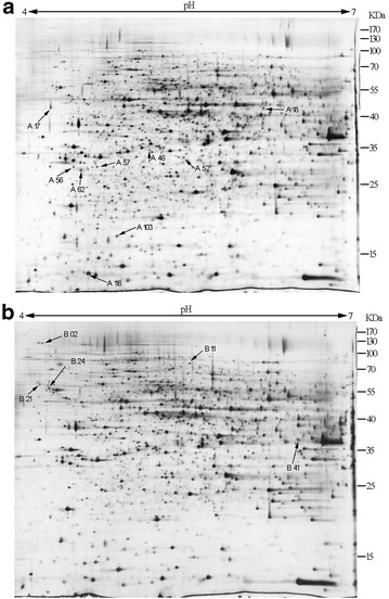 Fig. 4