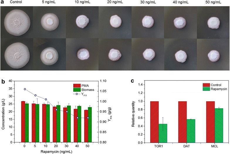 Fig. 7