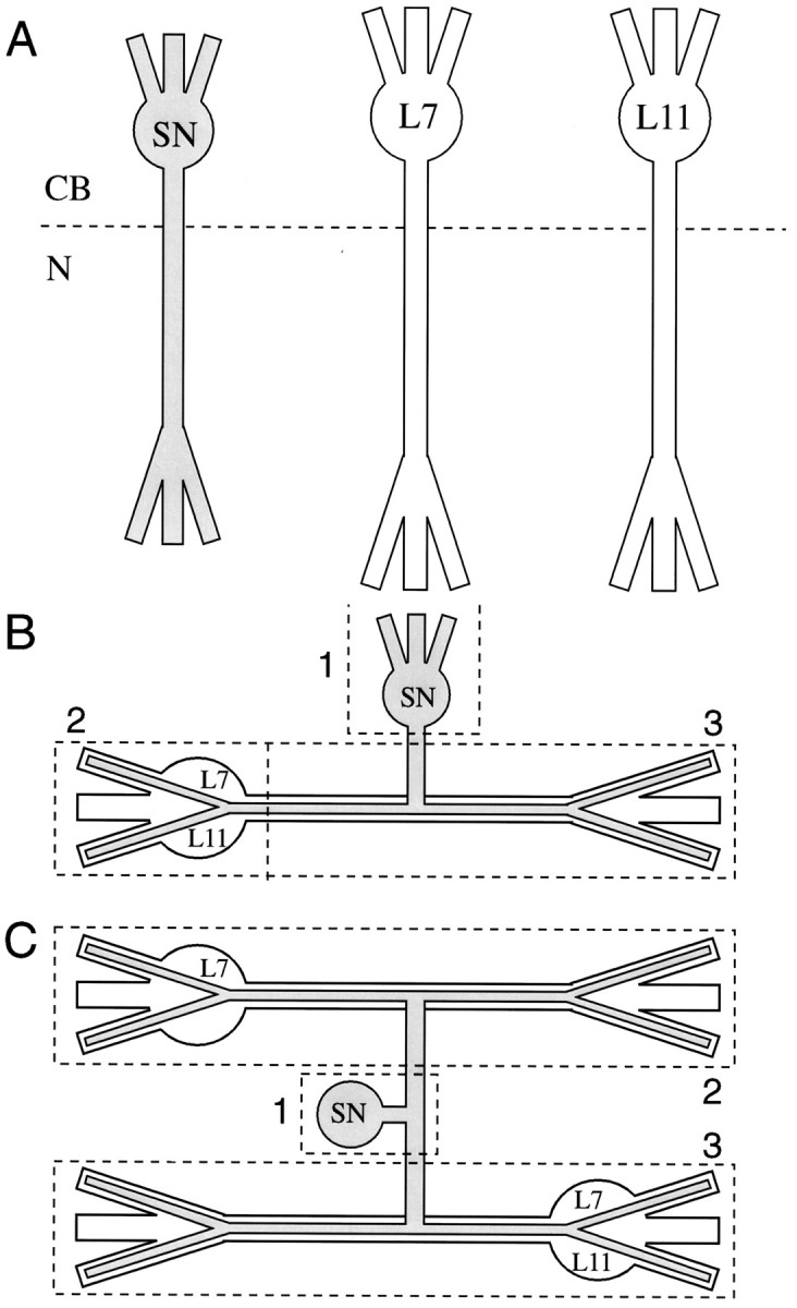 Fig. 1.