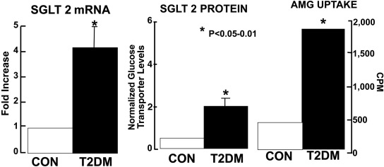 FIG. 12.