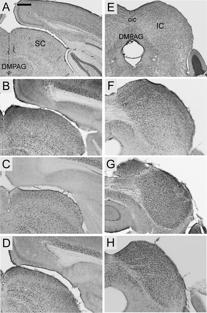 Fig. 9