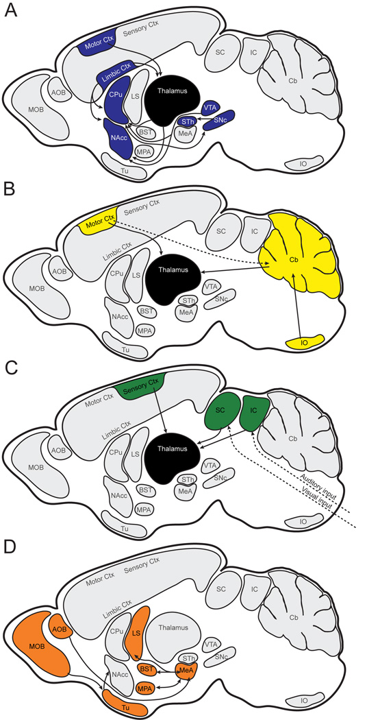 Fig. 12