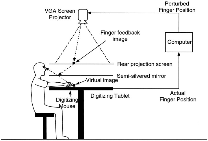 Fig. 2.