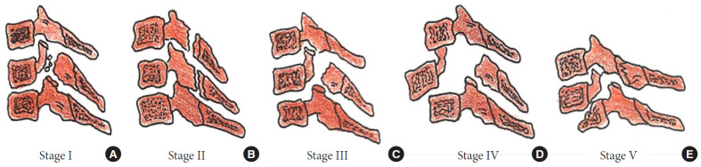 Fig. 8.