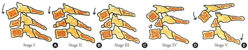 Fig. 6.