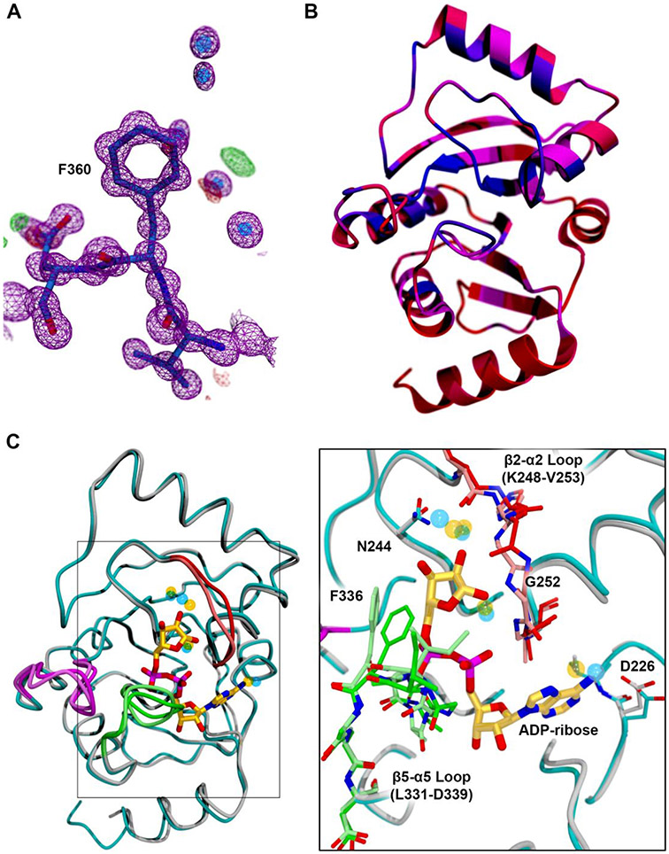 FIGURE 4.