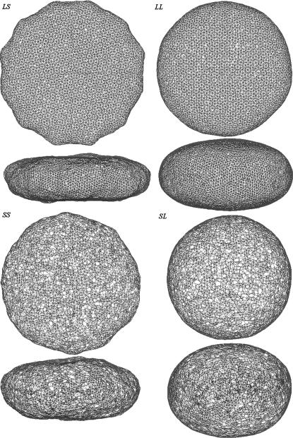 FIGURE 2