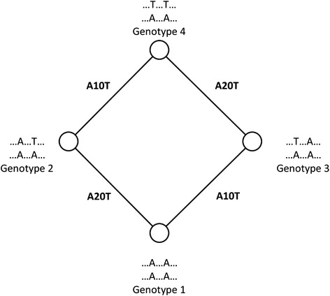 Fig. 6