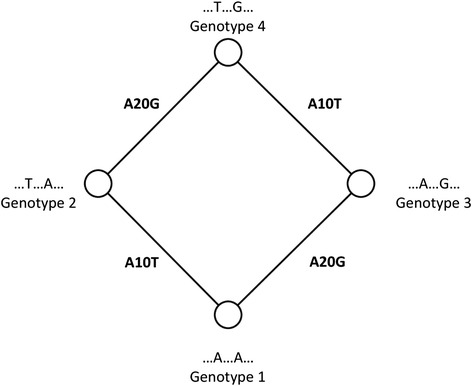 Fig. 1