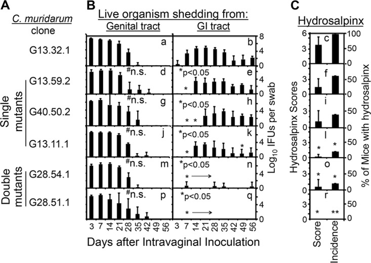 FIG 2