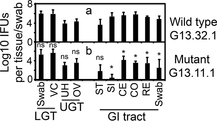 FIG 4