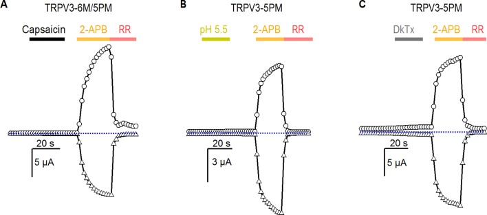 Figure 5—figure supplement 1.