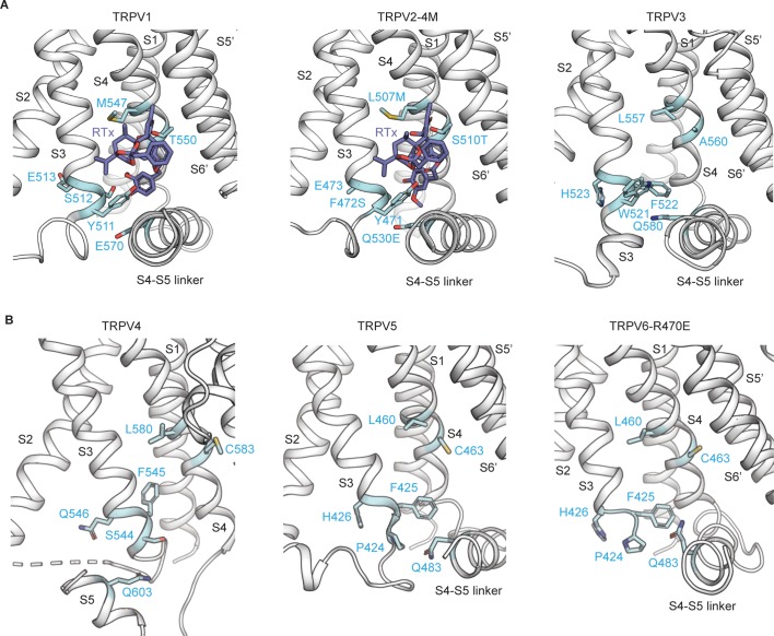 Figure 1—figure supplement 1.