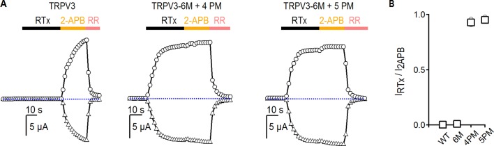 Figure 4—figure supplement 1.