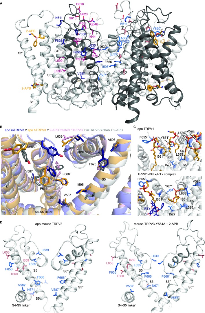 Figure 2—figure supplement 1.