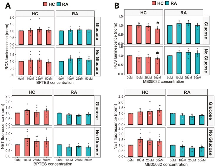 Figure shows no effect of gluconeogenesis and glutaminolysis inhibition on RA and HC neutrophil ROS and NET production