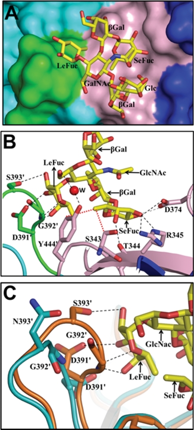 Fig. 4.