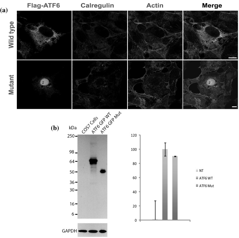 Fig. 3