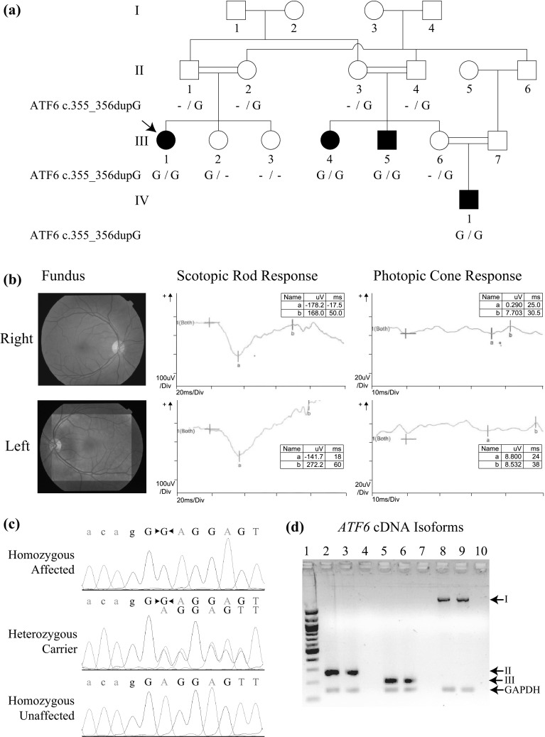 Fig. 1