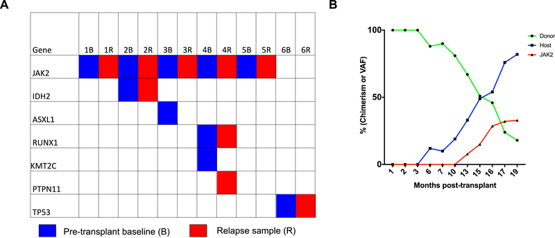 Figure 5: