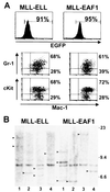 FIG. 6