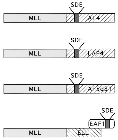 FIG. 7