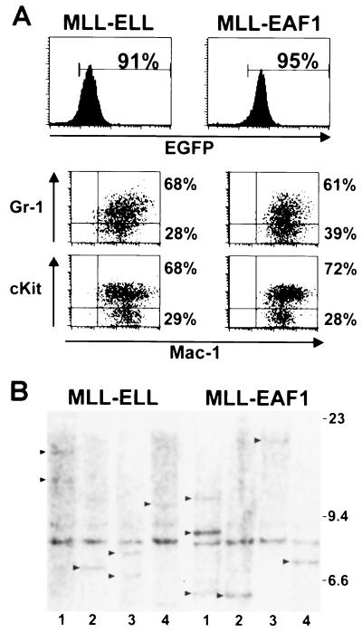 FIG. 6