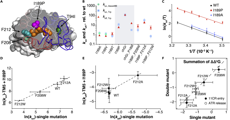 Figure 4