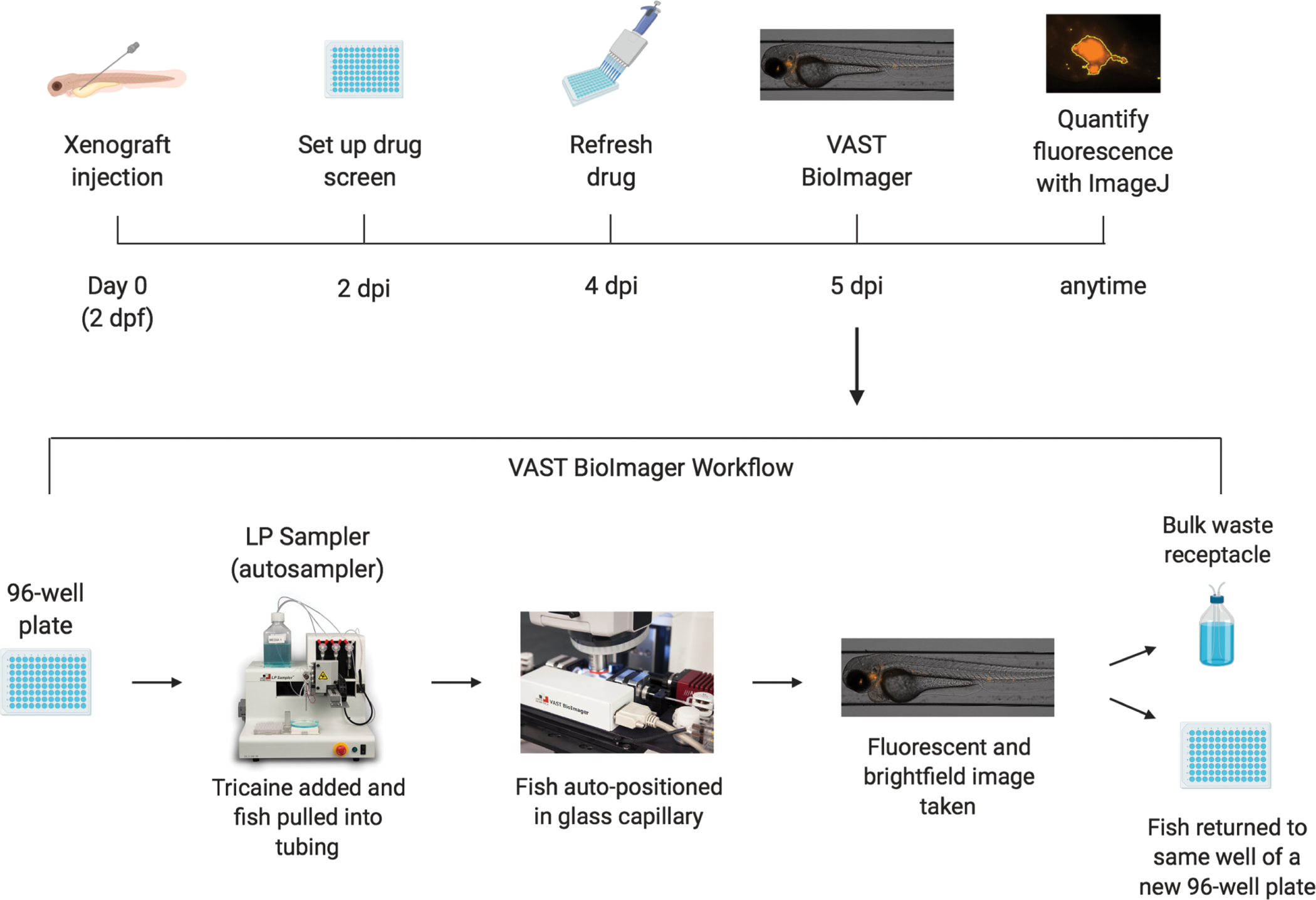 Figure 1: