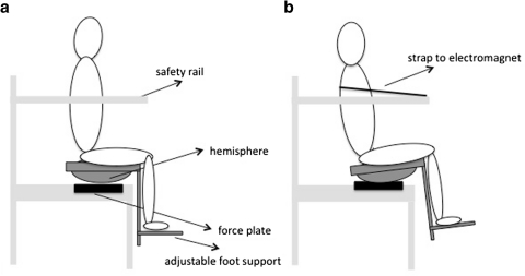 Fig. 1