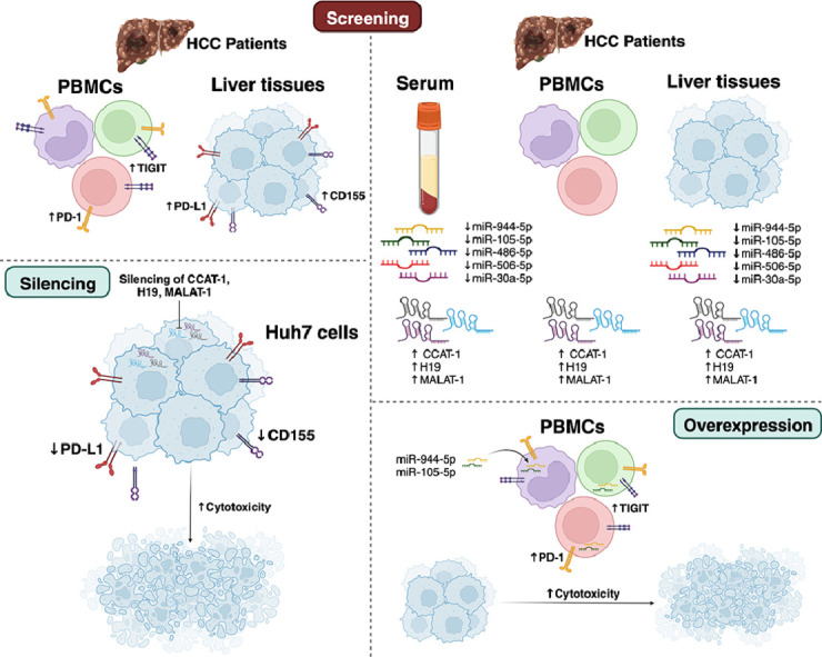 Image, graphical abstract