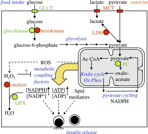 FIG. 4.