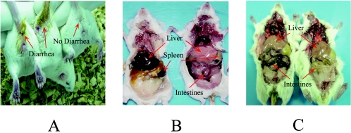 FIG. 4.