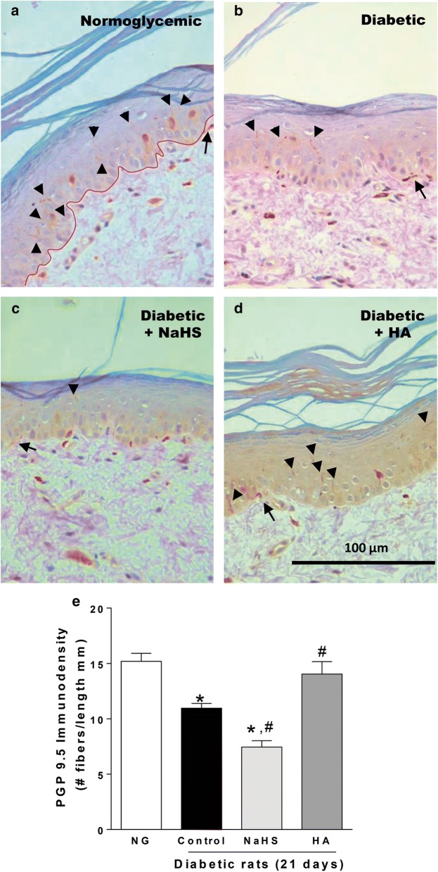 Fig. 8