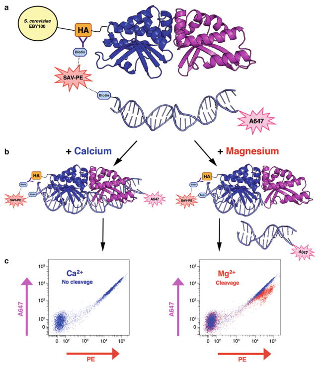 Fig. 3